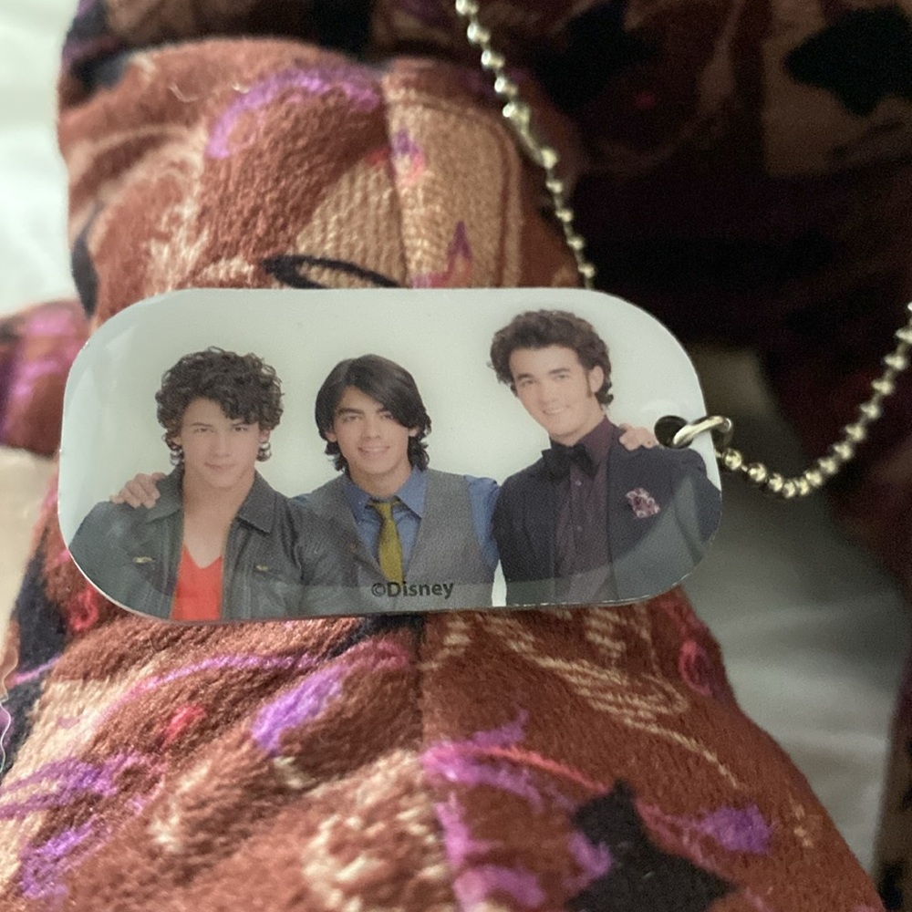Build-A-Bear Jonas Brothers Dog & Team Jonas Patch - Picture 4 of 7
